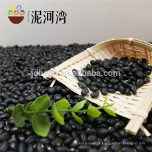 Alta Qualidade Pequeno Preto Kidney Beans Chines price
